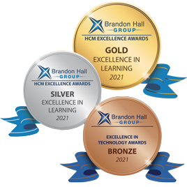 Brandon Hall Group HCM Excellence Awards