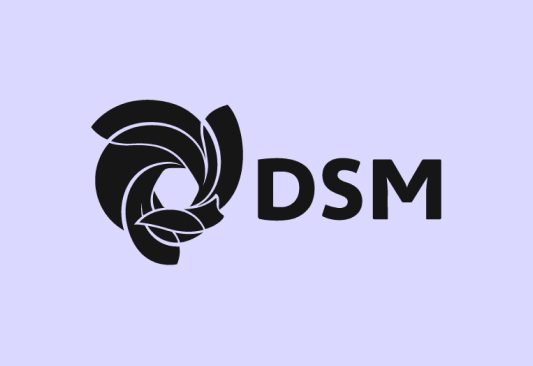 DSM logo