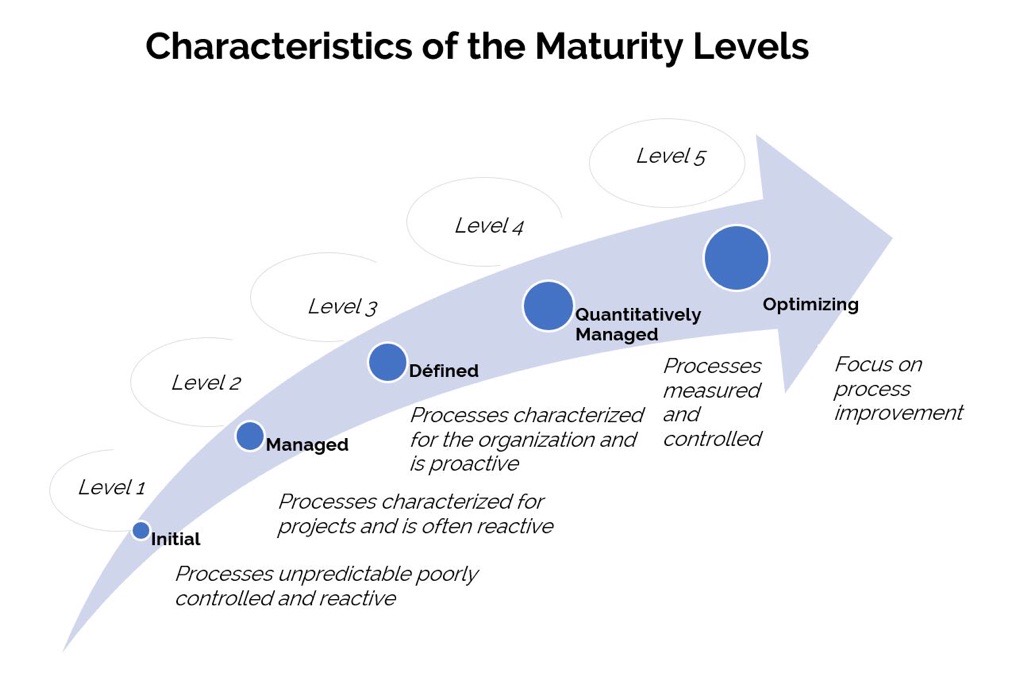 Characteristics of the maturity levels