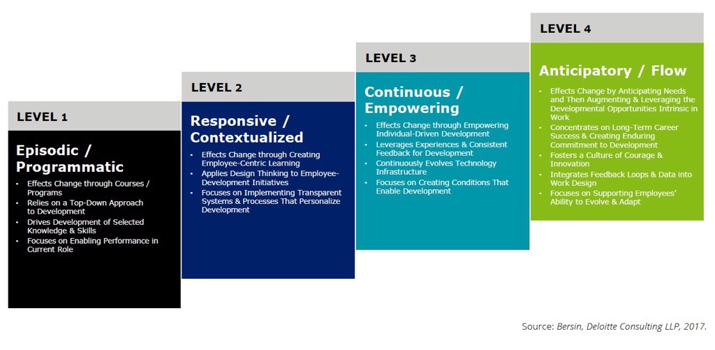 HILO maturity model