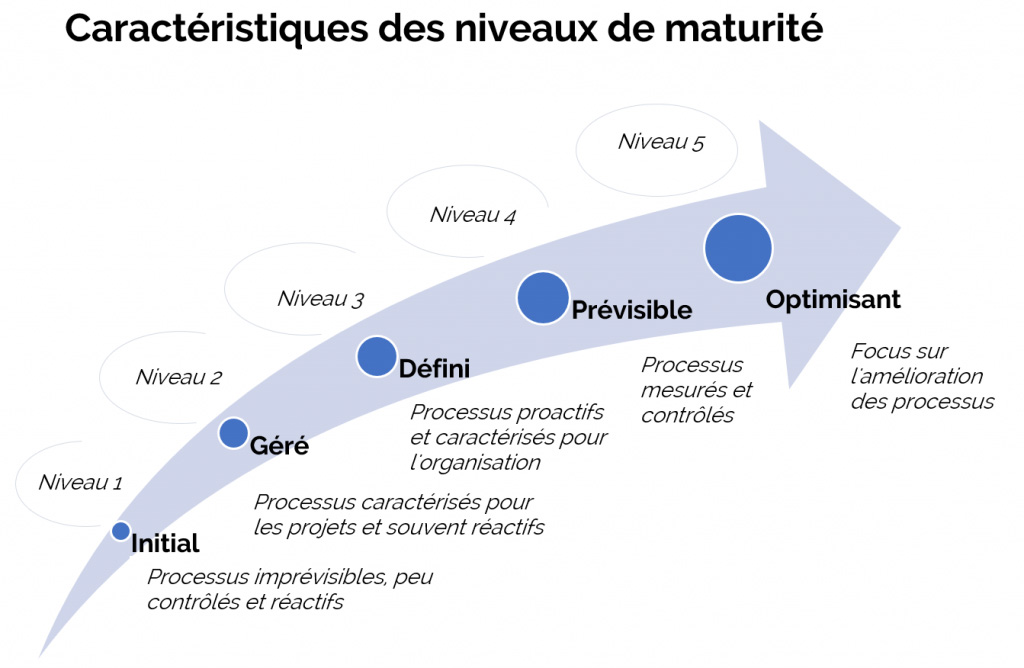 Capability Maturity Model