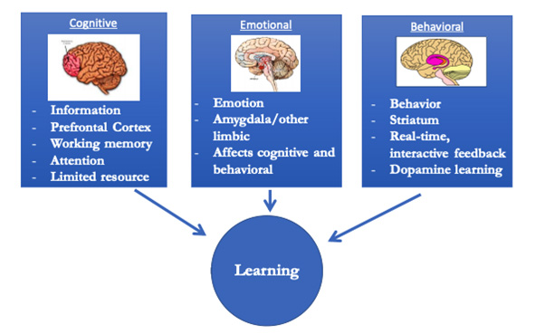 sistemas de aprendizagem cerebral