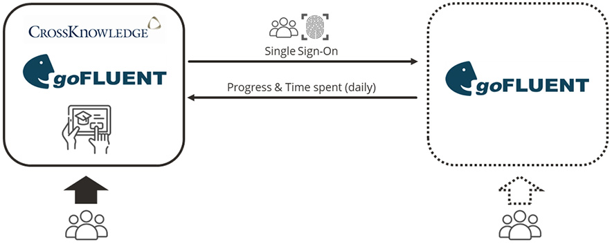 goFLUENT integration