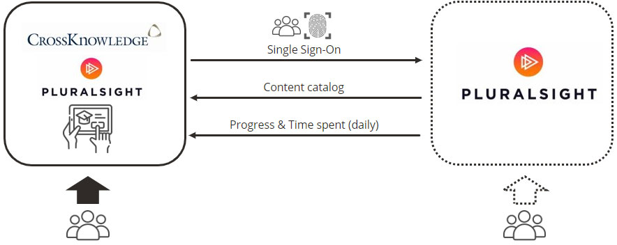 Infographie connecteurs de contenu Pluralsight