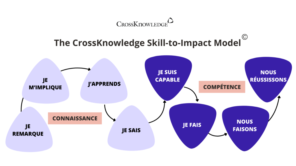 Le Skill-to-Impact Model de CrossKnowledge montrant le parcours de parcours apprenant de « Je remarque » à « Nous réussissons ». Schéma illustrant comment les connaissances se transforment en compétences pour produire des résultats collectifs.