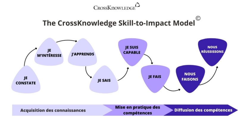 Le Skill-to-Impact Model de CrossKnowledge montrant le parcours apprenant de « Je constate » à « Nous réussissons ». Schéma illustrant comment les connaissances se transforment en compétences pour produire des résultats collectifs.