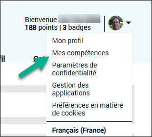 la page Mes Compétences disponible depuis le menu Profil