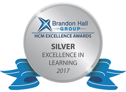 2017 gold excellence in learning